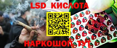 дживик Ярославль